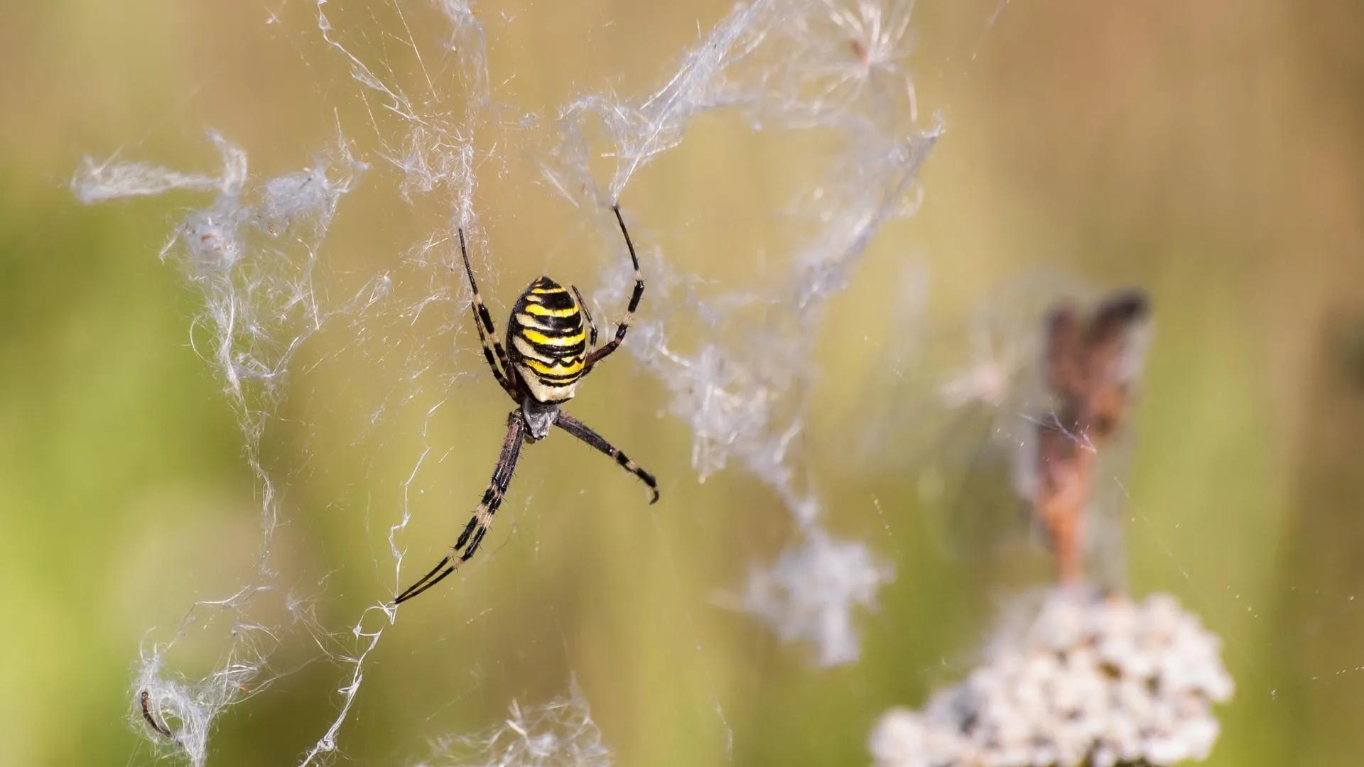 Фото: Владимир Шлёнсков