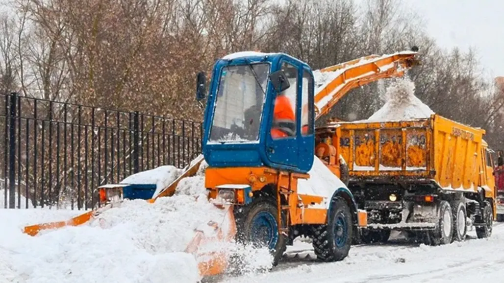 © Пресс-служба Министерства благоустройства Московской области