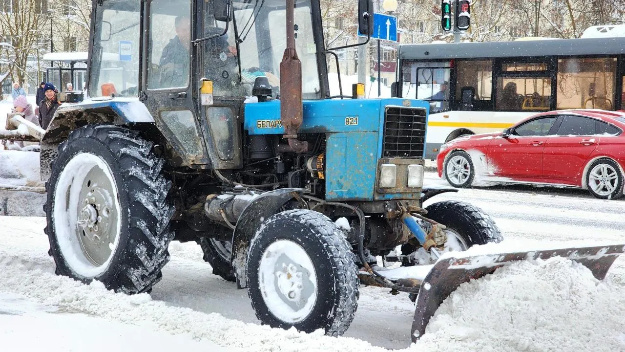 Елена Шумакова