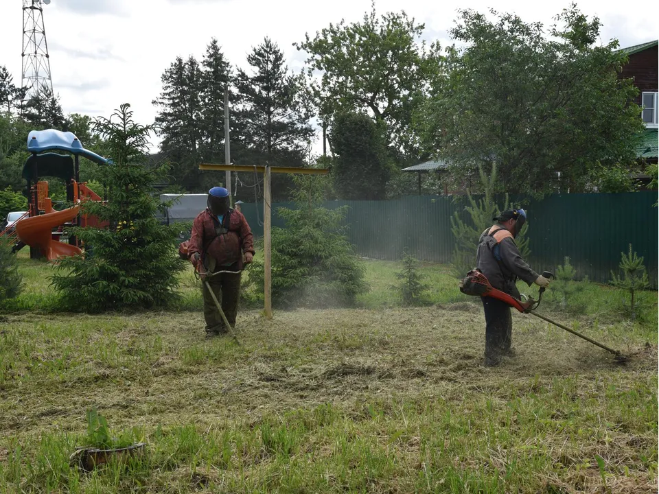 Фото: Владимир Останин
