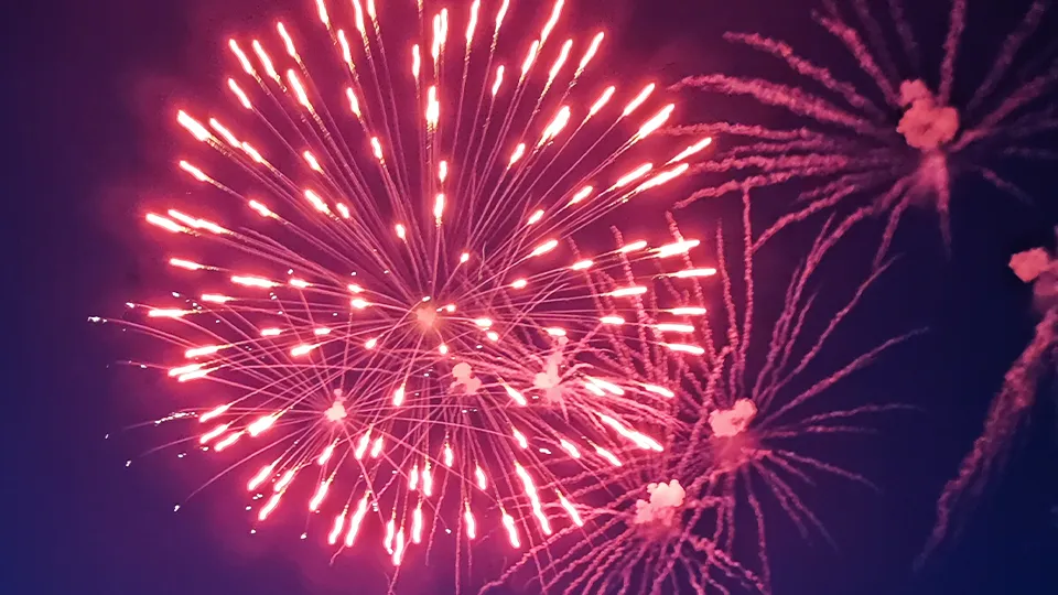 Фото: МедиаБанк Подмосковья/Анастасия Калмыкова