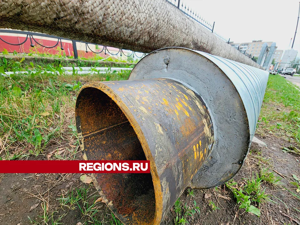 Фото: Юлия Андросова