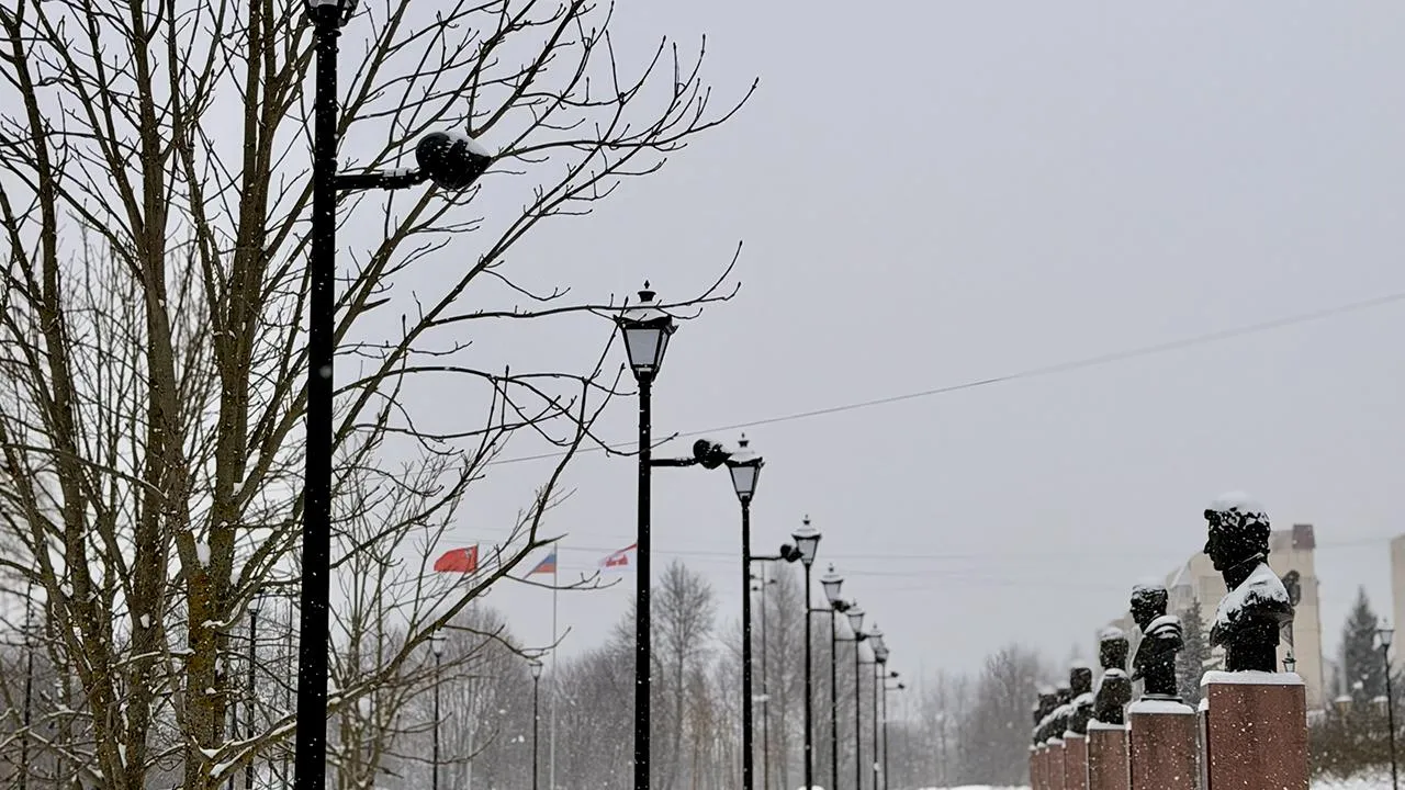 пресс-служба губернатора и правительства Московской области