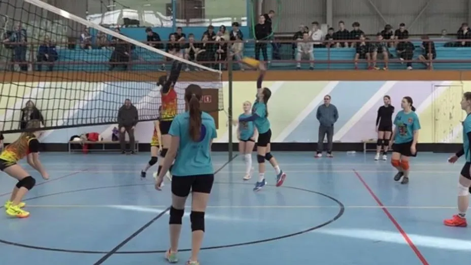 Шесть команд выступили в финале Пушкинской школьной лиги по волейболу