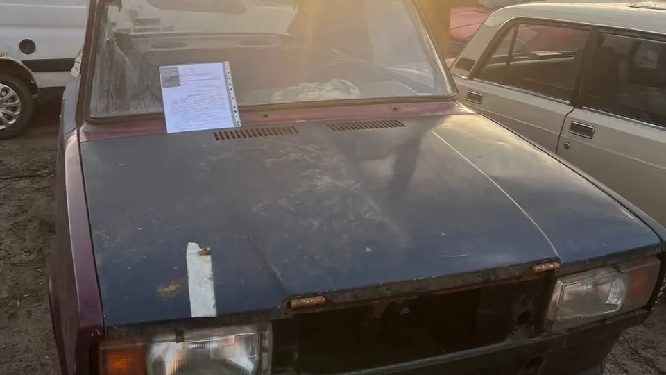 Фото: администрация г.о. Котельники