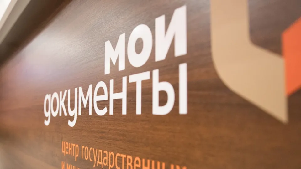 Фото: МФЦ Подмосковья