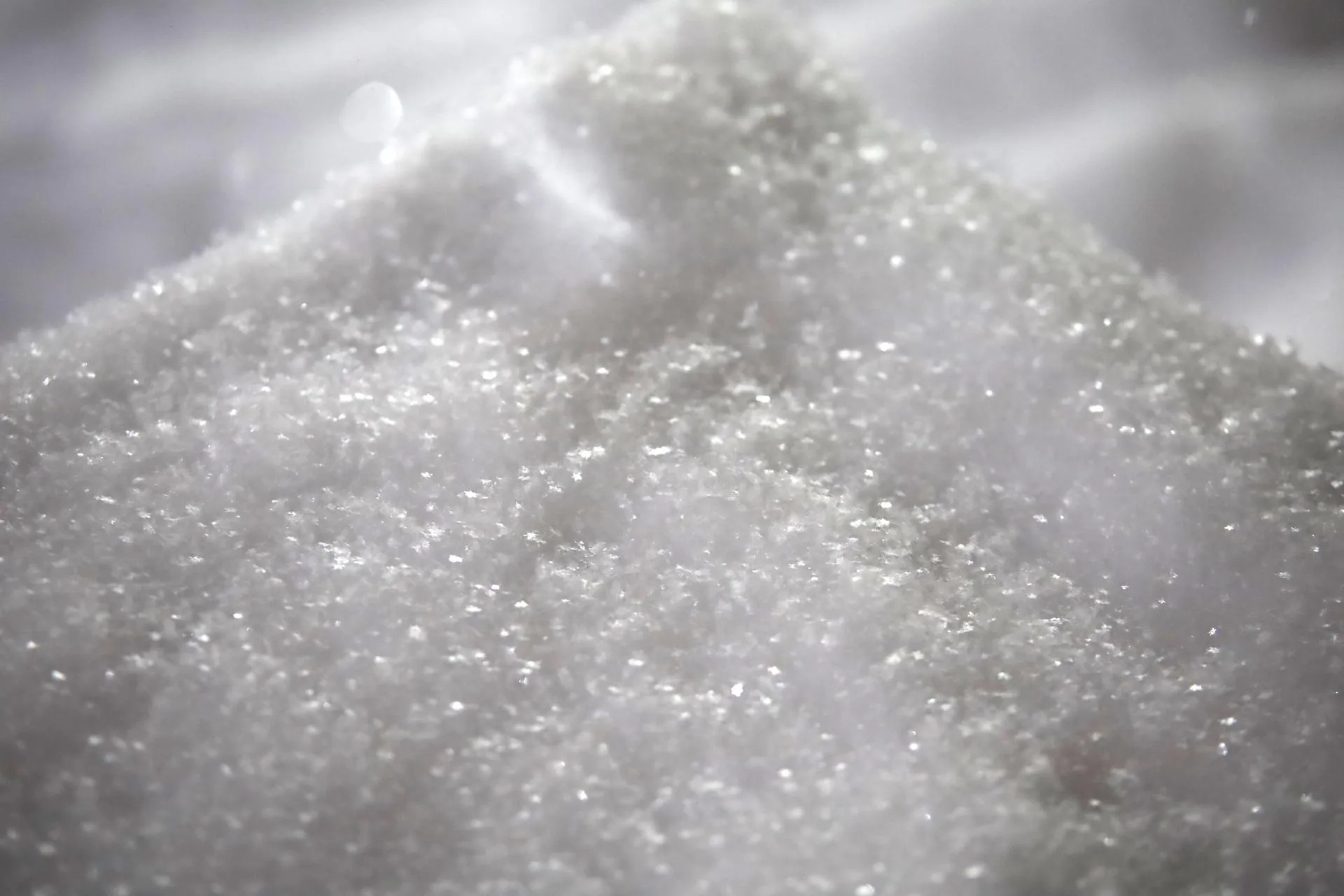 Фото Ольга Пятикрестовская.