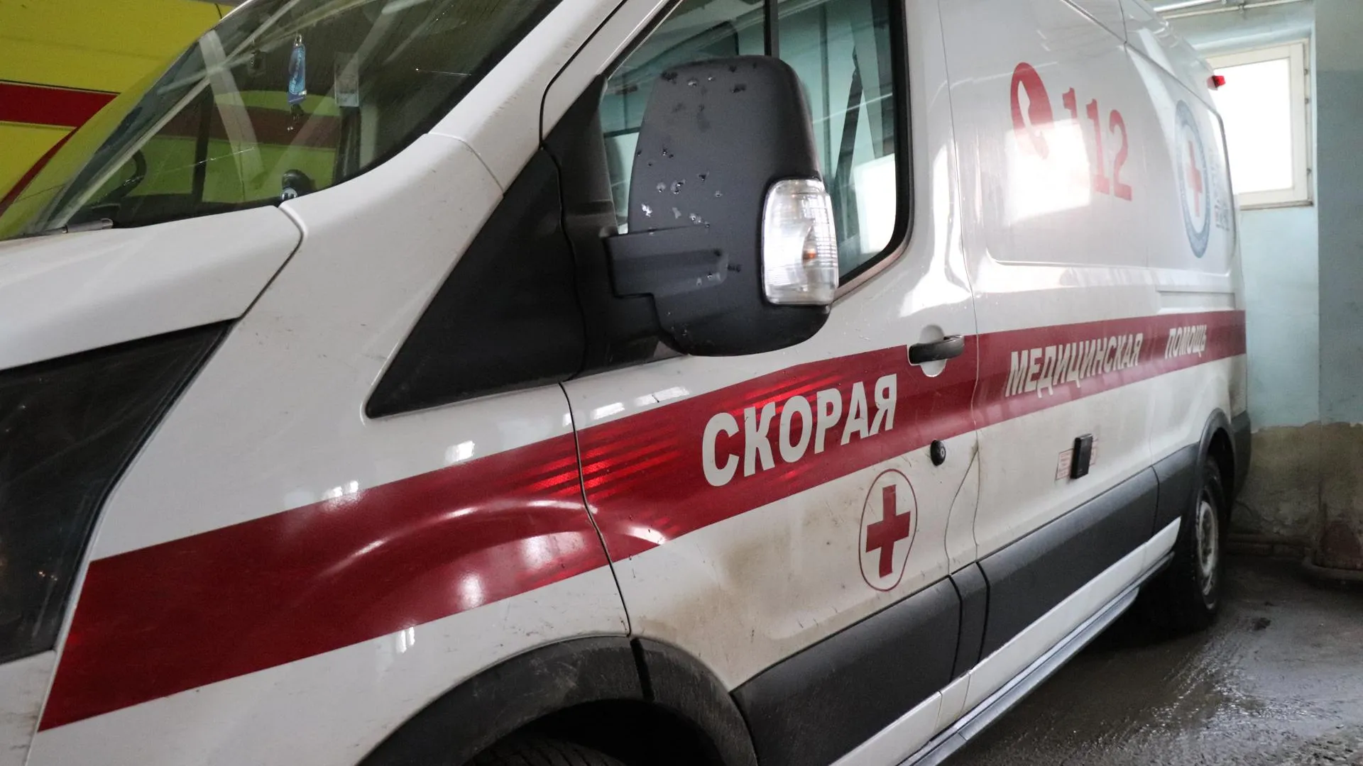 Фото: Василий Тремасов