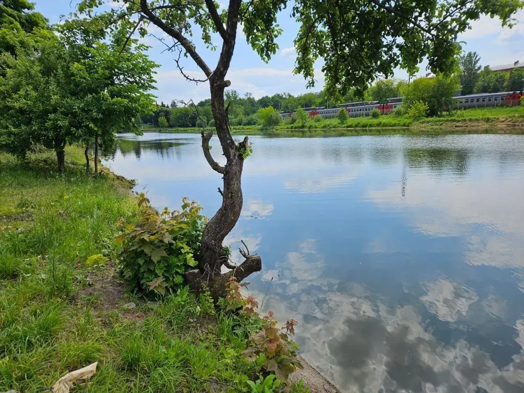 Министерство экологии и природопользования Московской области