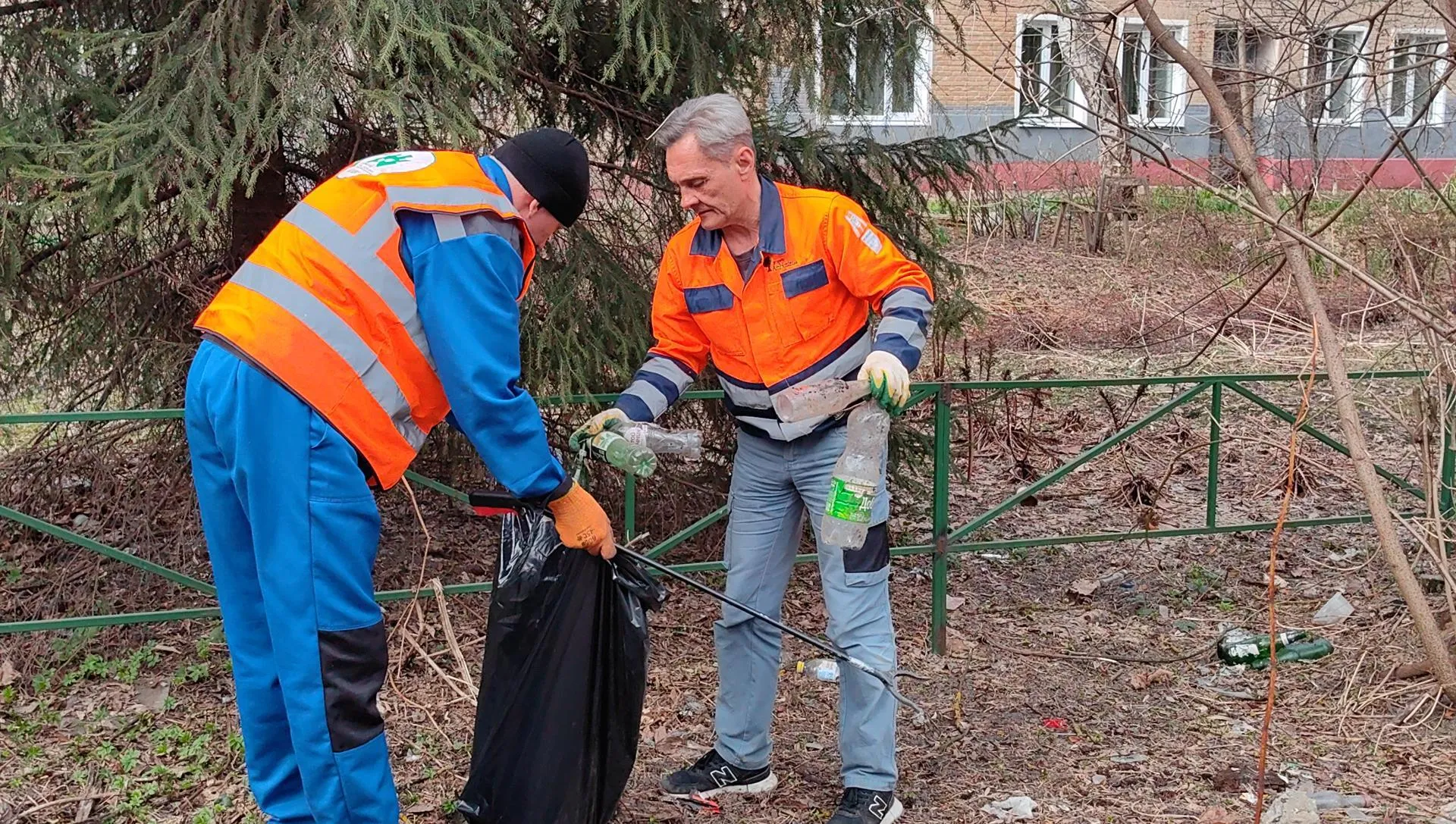 Елена Катасонова