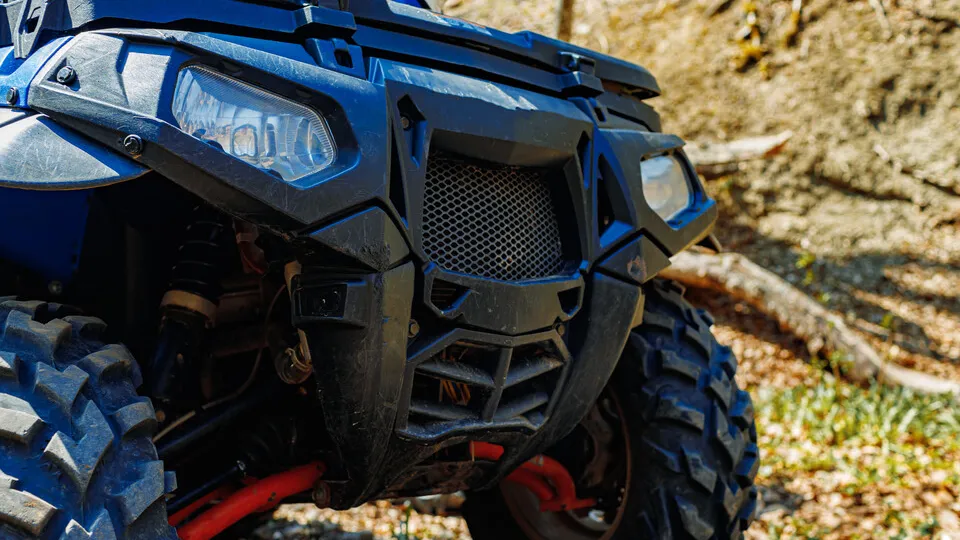 Фото: freepik.com