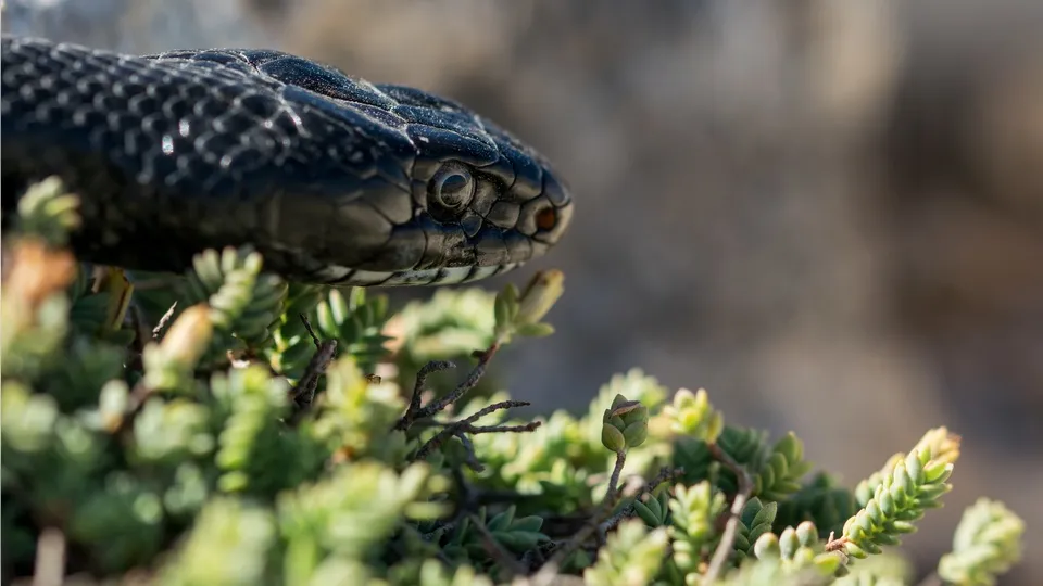 Фото: freepik.com