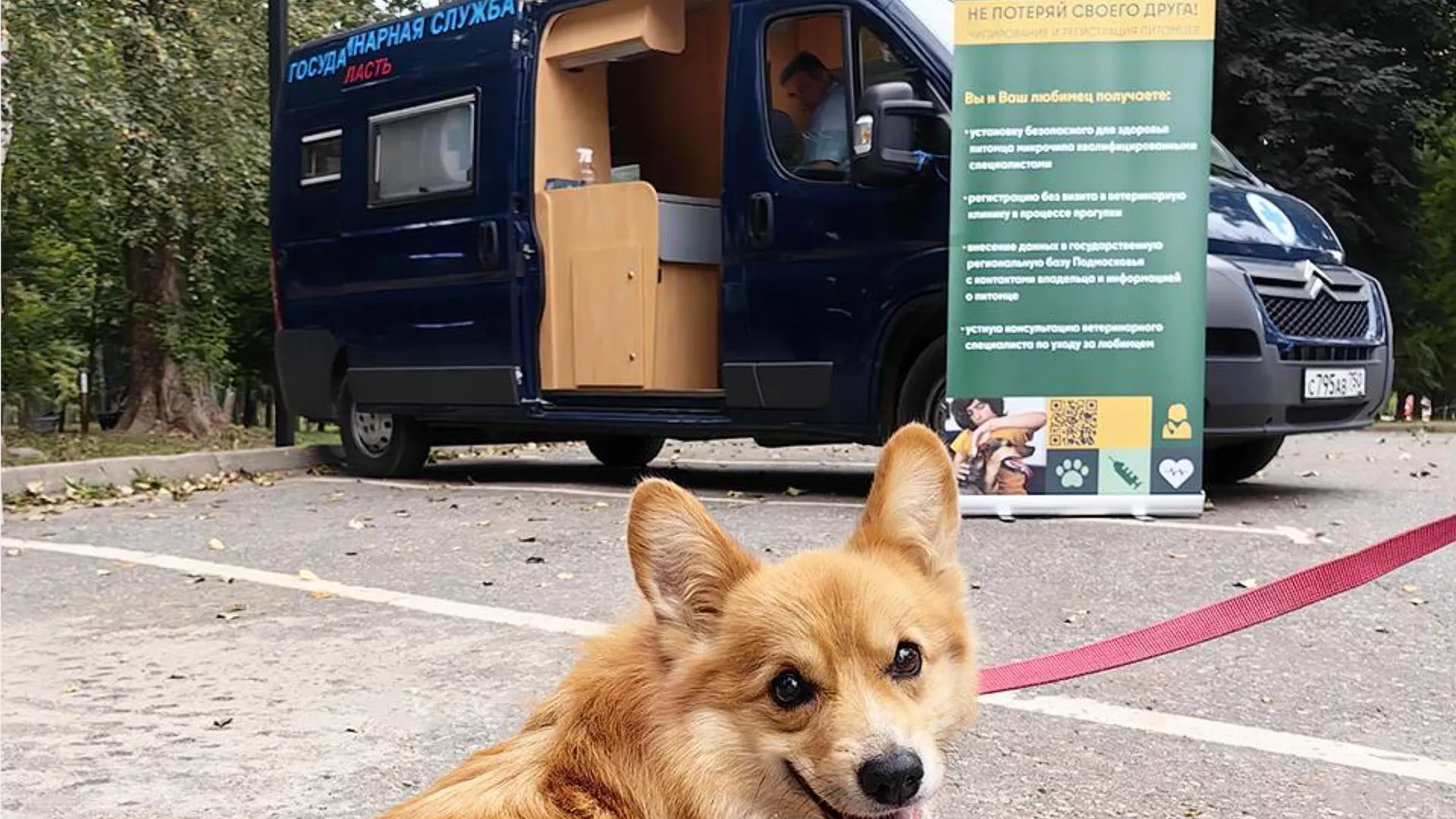 Фото: Министерство сельского хозяйства и продовольствия Московской области