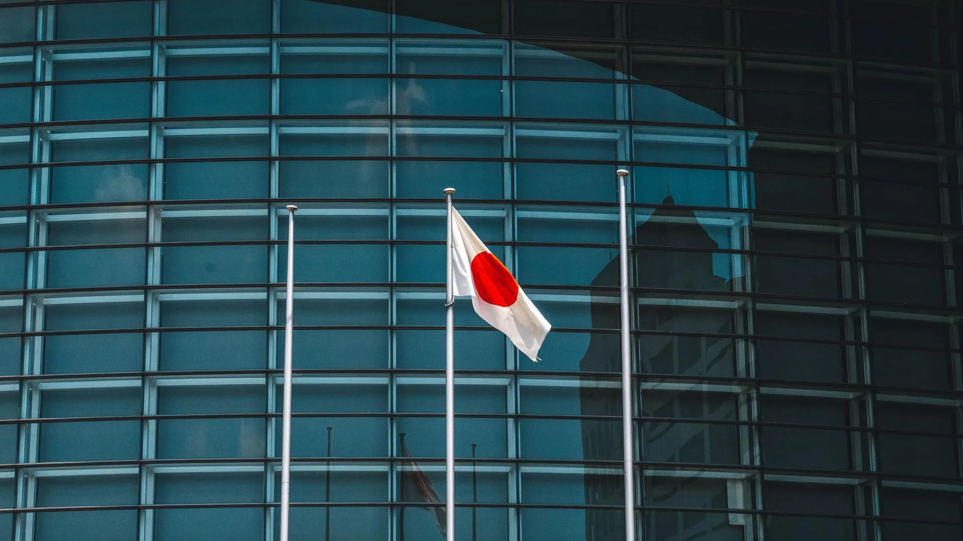 Источник фото: unsplash