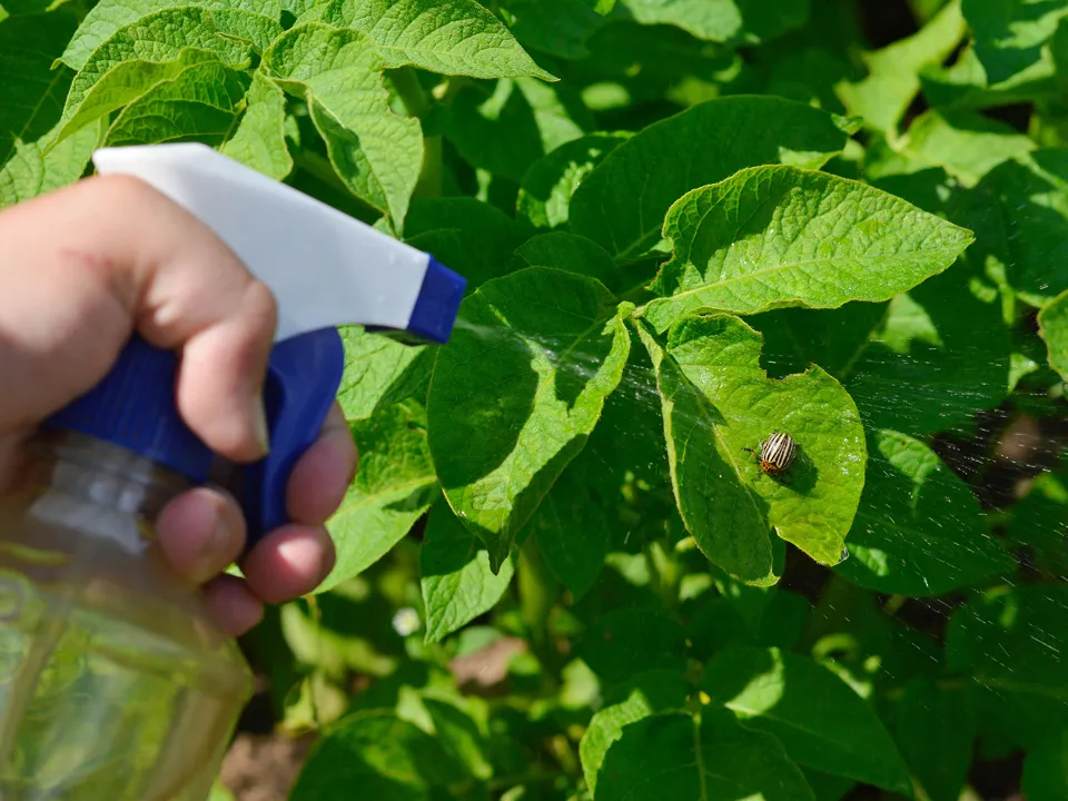 Фото: istockphoto.com