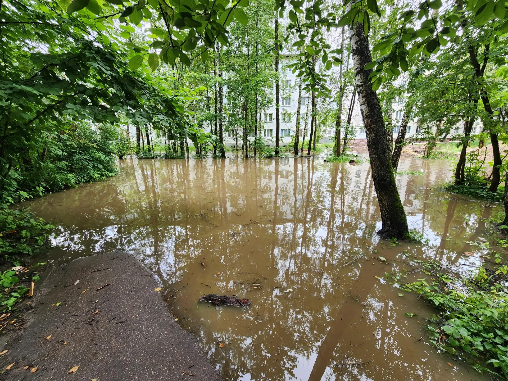 Фото: Евгения Герасимова&nbsp;