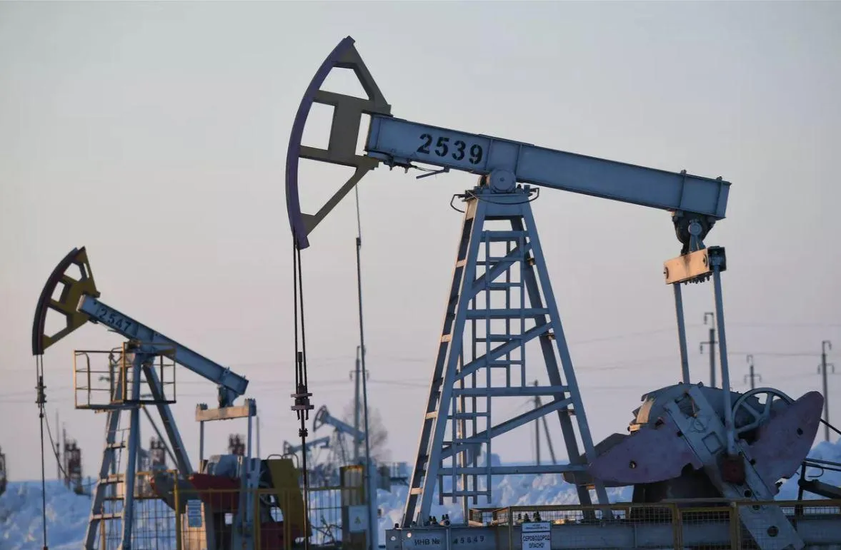 Нефтяные качалки в Альметьевском районе в Татарстане