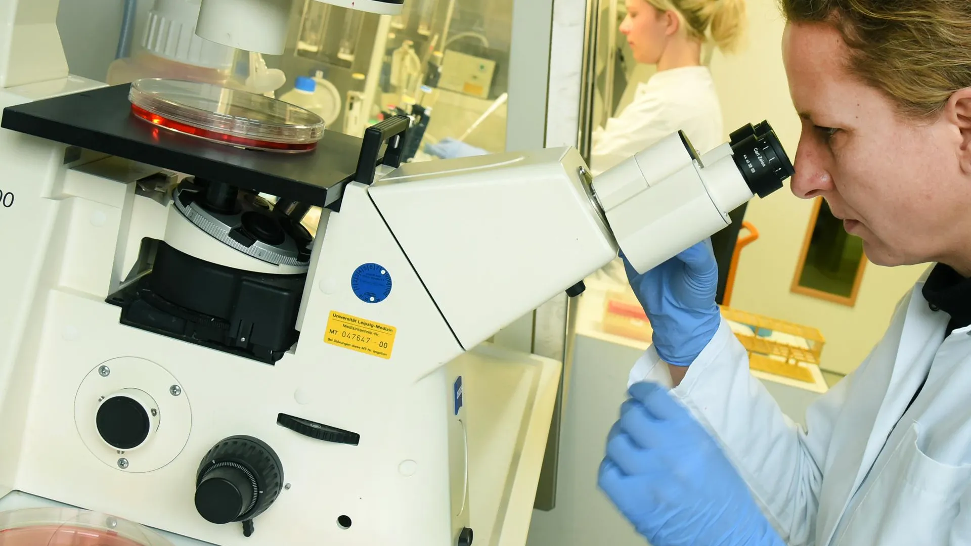 Waltraud Grubitzsch/ZB