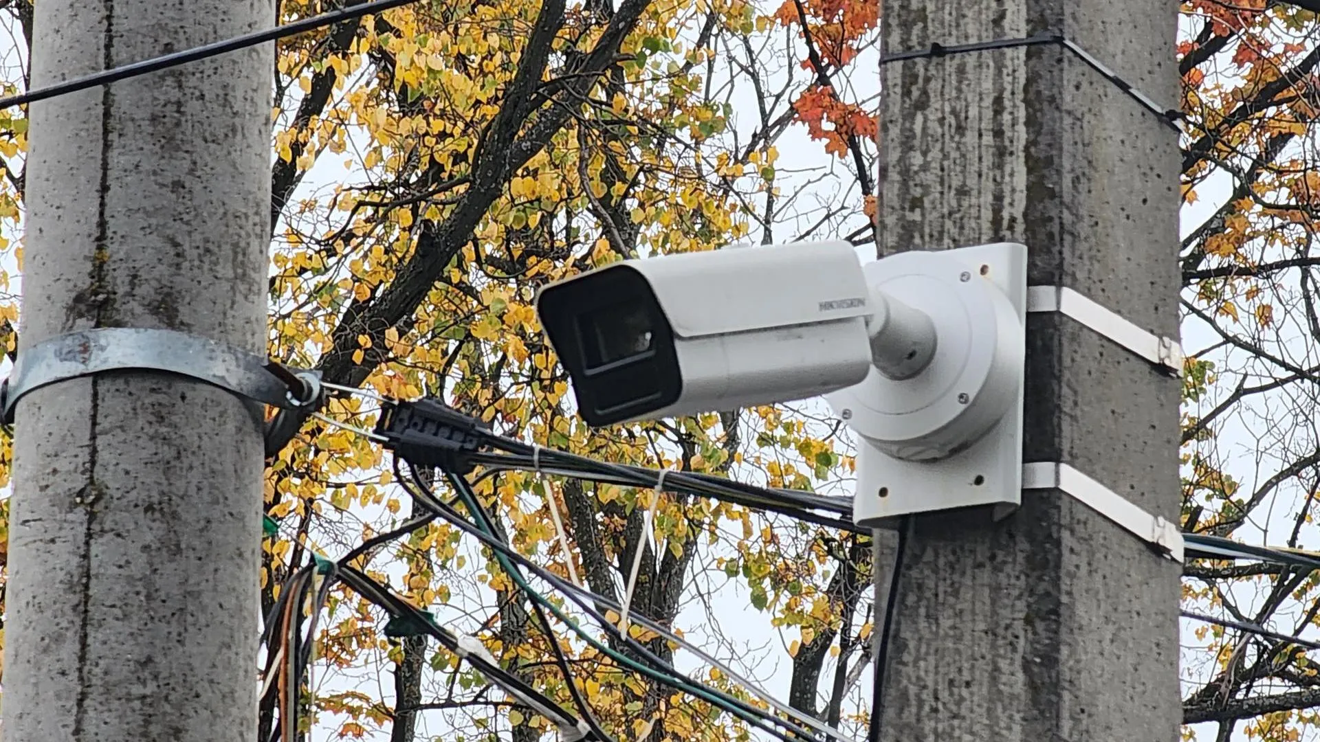 Роман Савельев