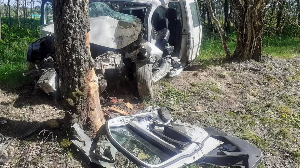 Фото: ГКУ МО «Мособлпожспас»