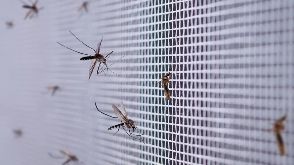 Фото: istockphoto.com