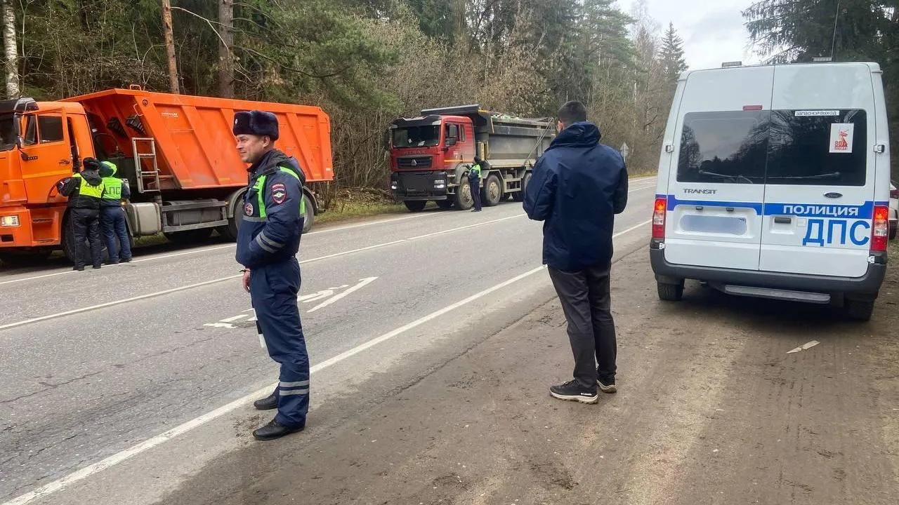 Несанкционированный сброс отходов предотвратили в рамках рейда в Одинцово и Истре