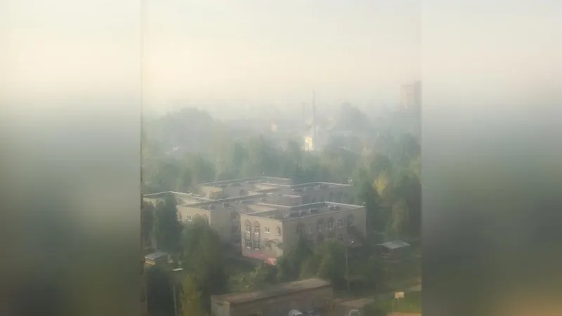 Смог от лесного пожара под Владимиром дошел до Сергиево-Посадского района