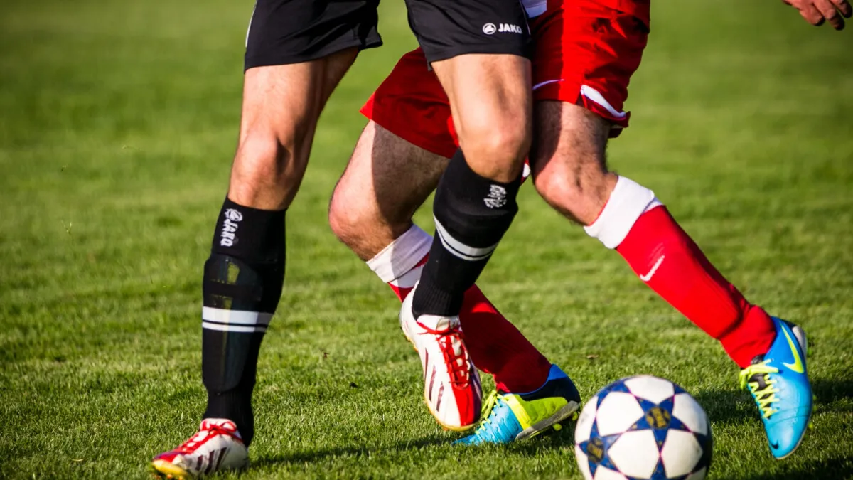 Фото: pxhere.com