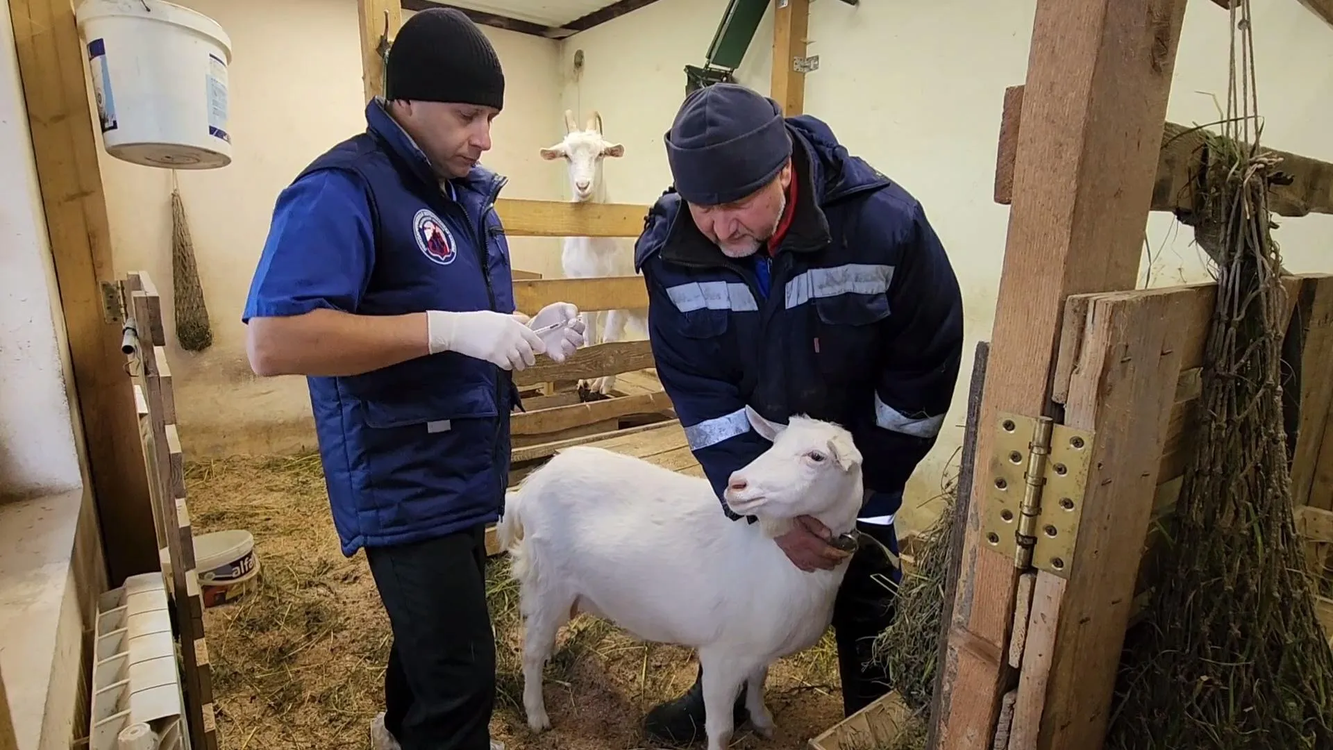 Сморкалов Никита