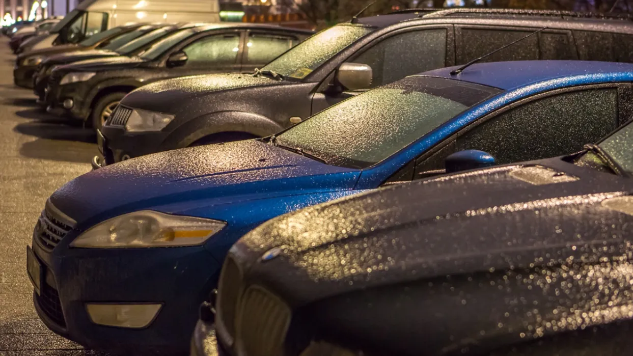 Марина Лысцева/ТАСС