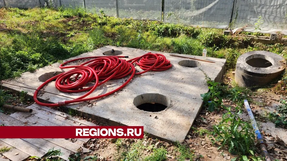 Фото: Дмитрий Алексеенко