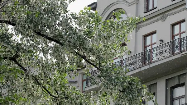 Пожилой москвич устроил стриптиз для 13-летней школьницы на улице