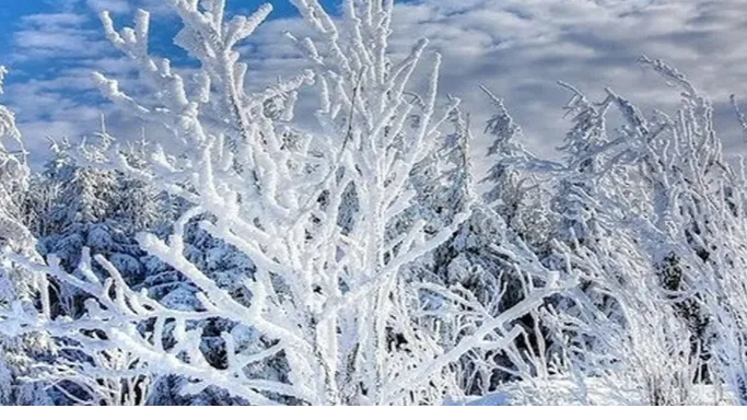 фото:.freepik.com