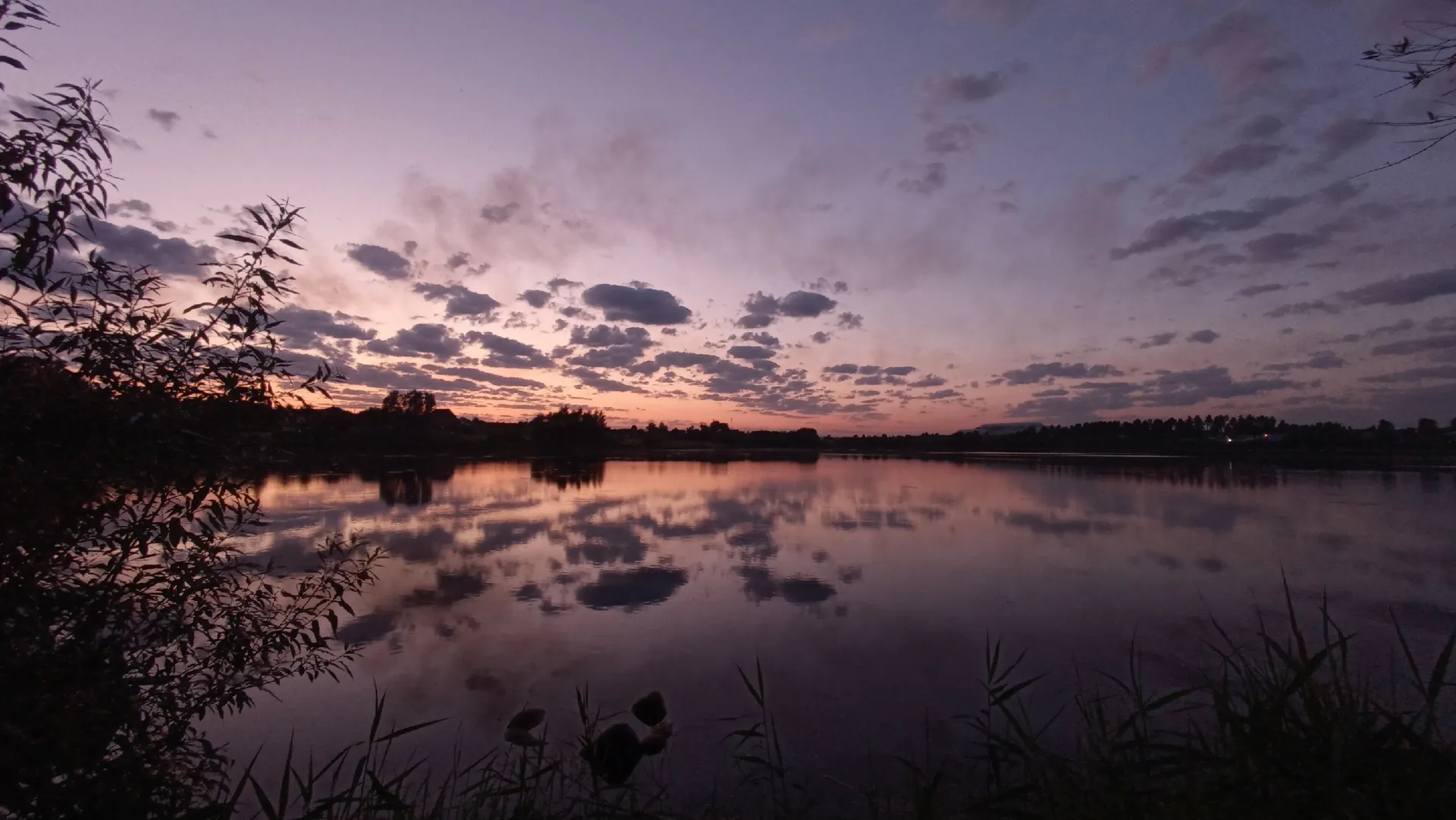 Фото: Алексей Керимов
