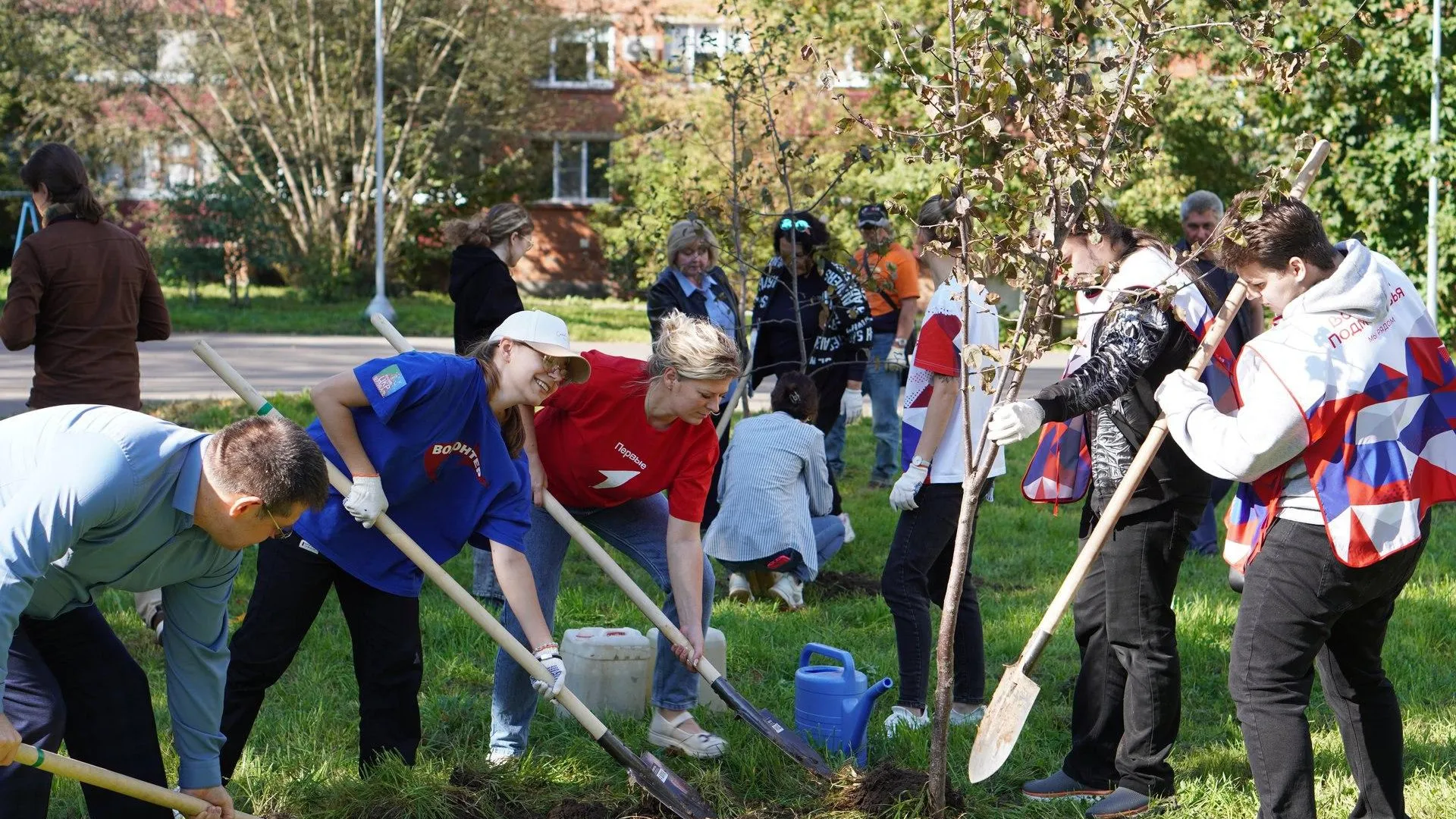 ЦКР "Вертикаль"