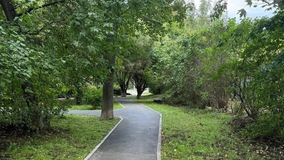 Фото: пресс-служба администрации г.о. Подольск