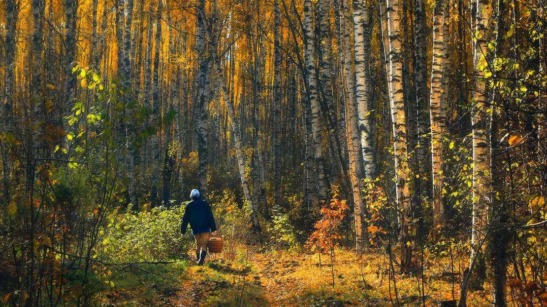 Фото letsgophotos.ru