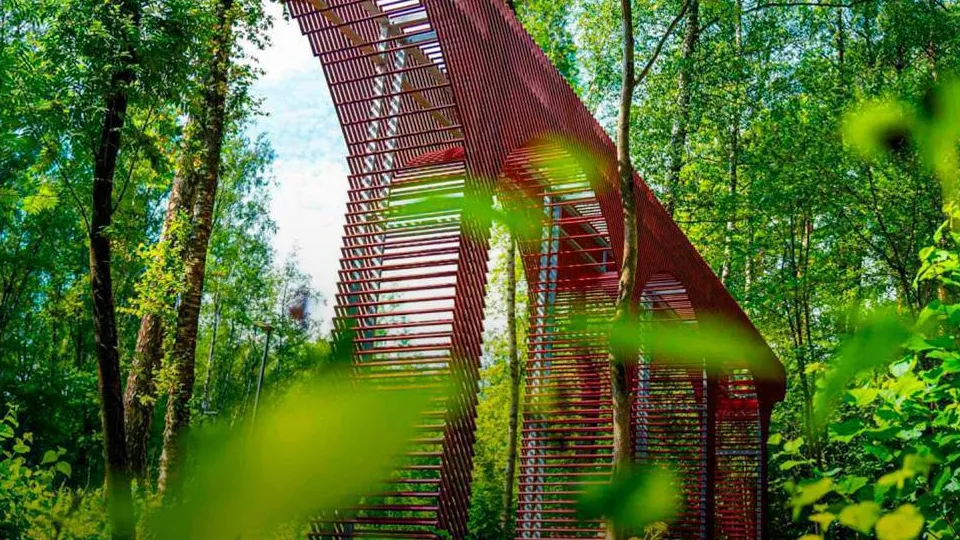 Фото: пресс-служба Губернатора и Правительства Московской области