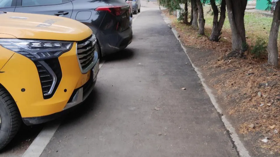 Фото: администрация городского округа Люберцы