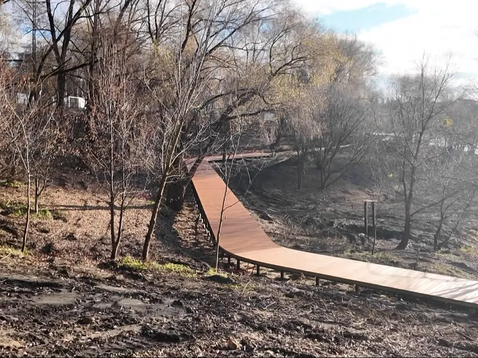 Фото: Раменский медиацентр