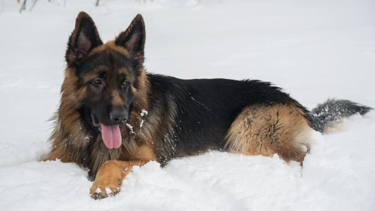 istockphoto.com/MykolaIvashchenko