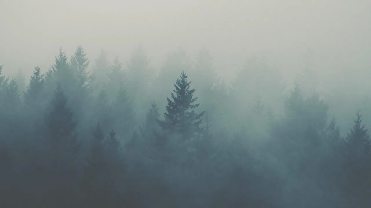 Unsplash