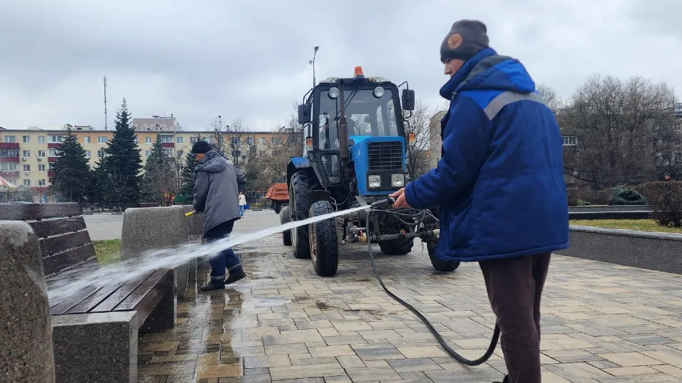 Фото: Анастасия Сараева