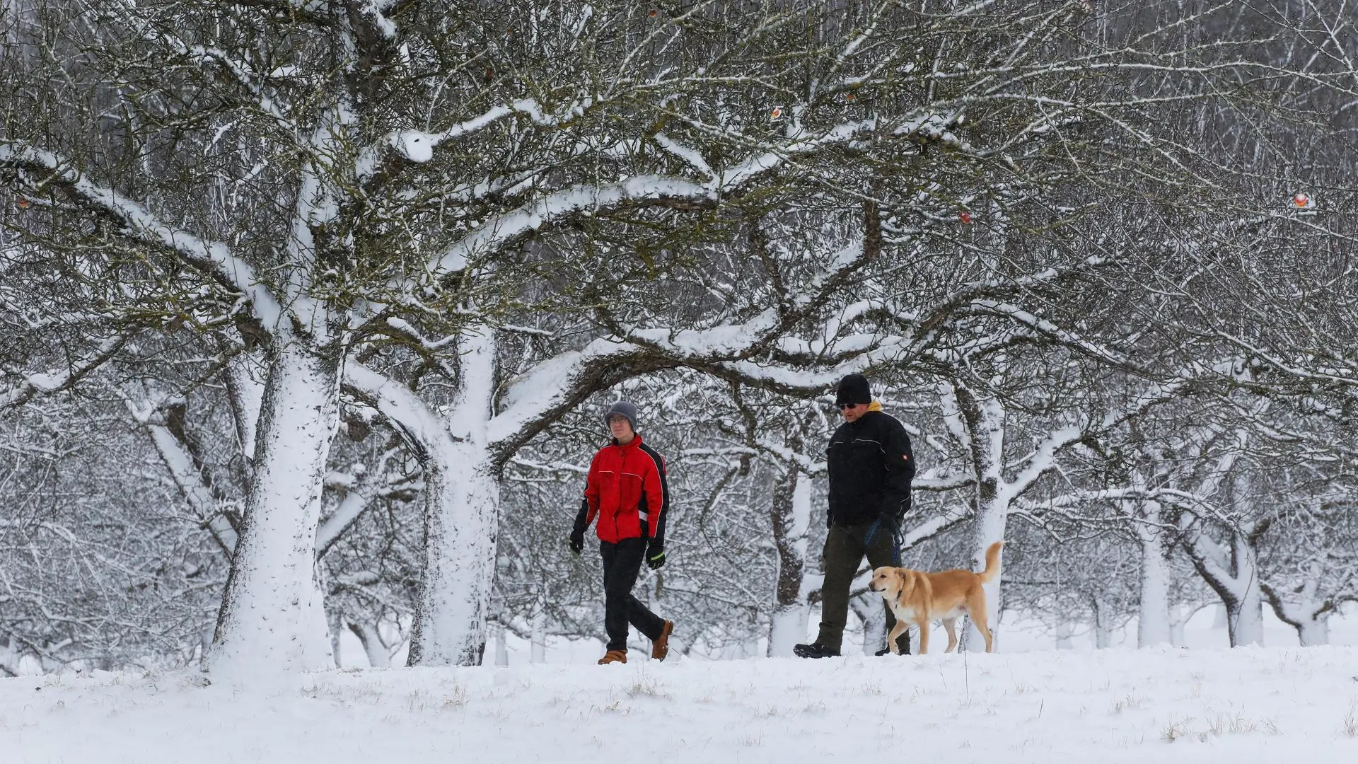 Thomas Warnack/dpa