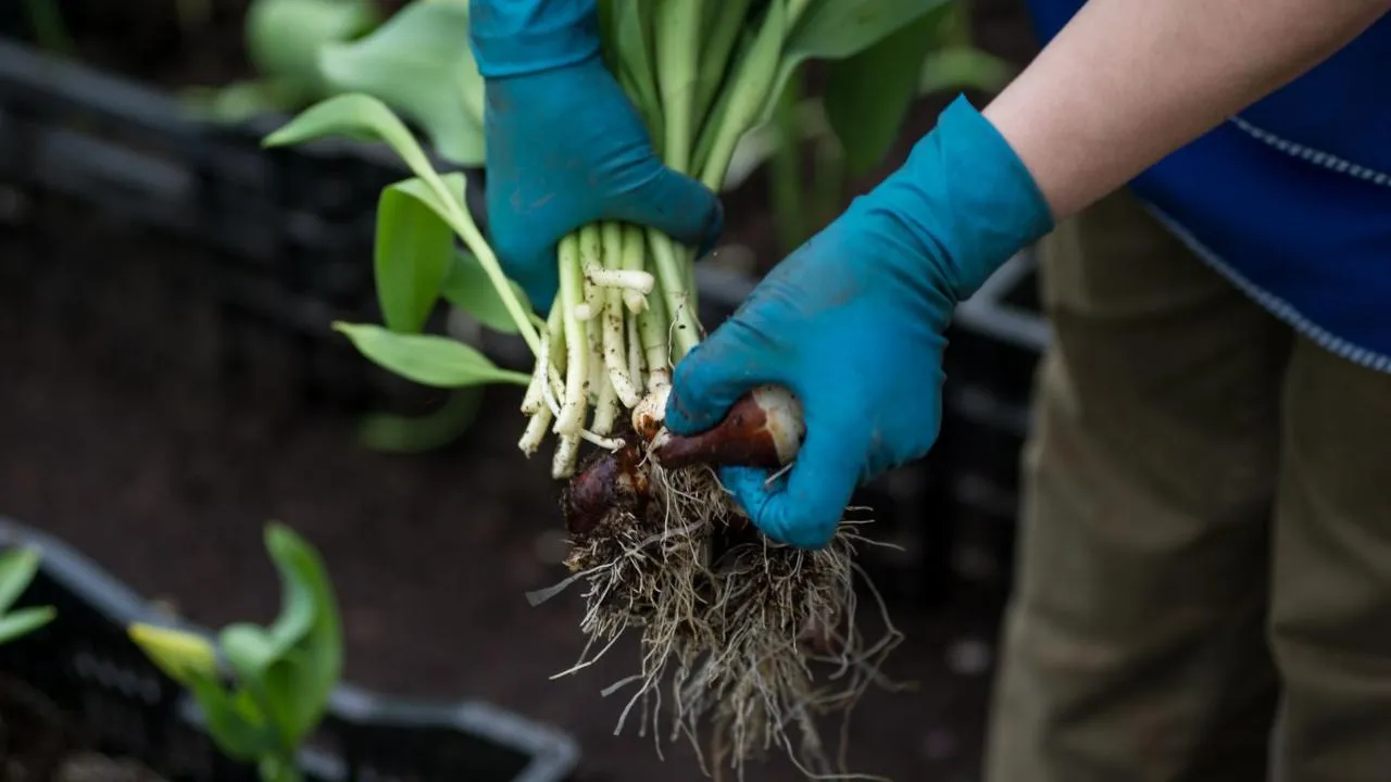 медиасток.рф