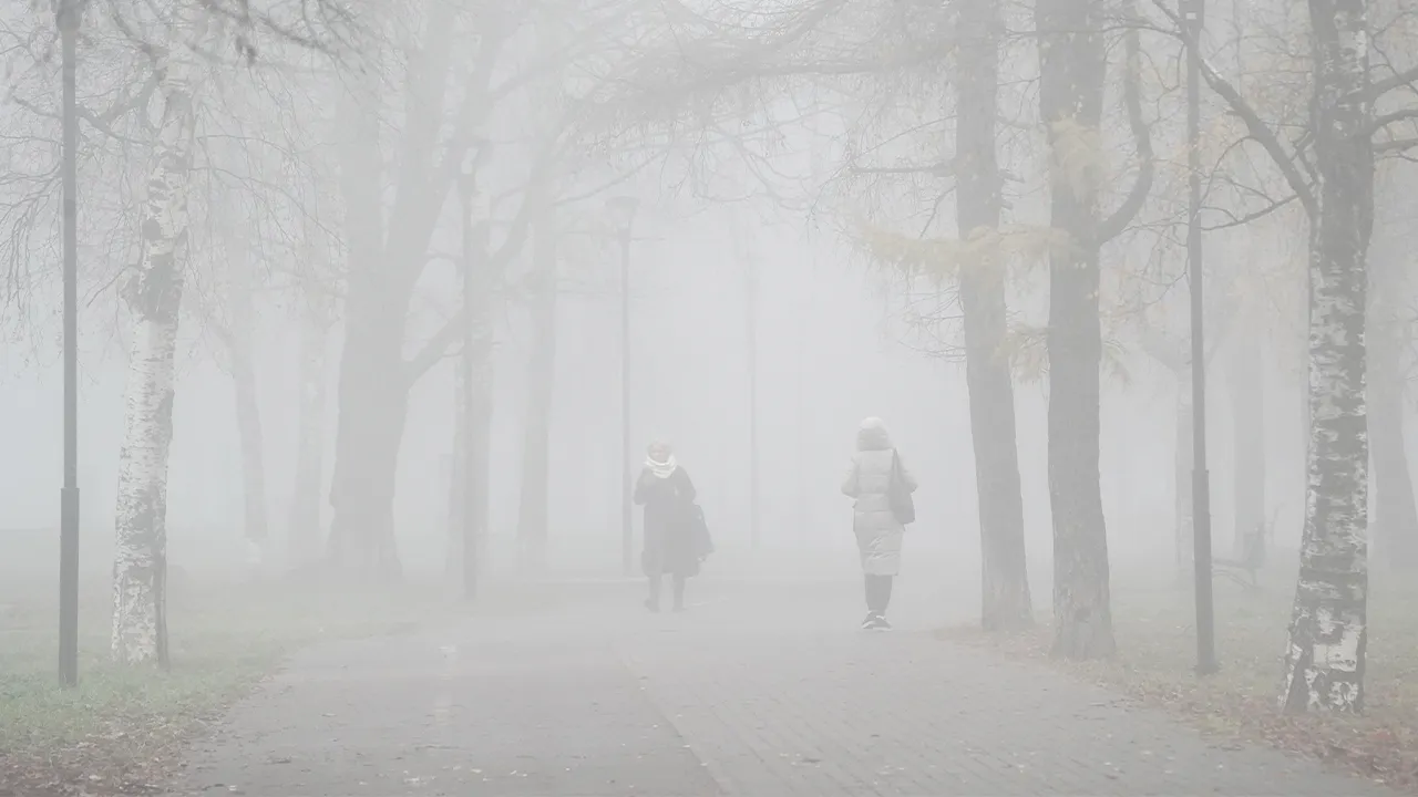 медиасток.рф