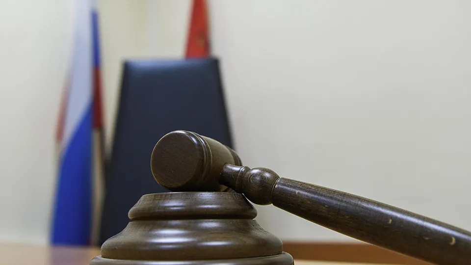 Фото: Медиаархив Подмосковья