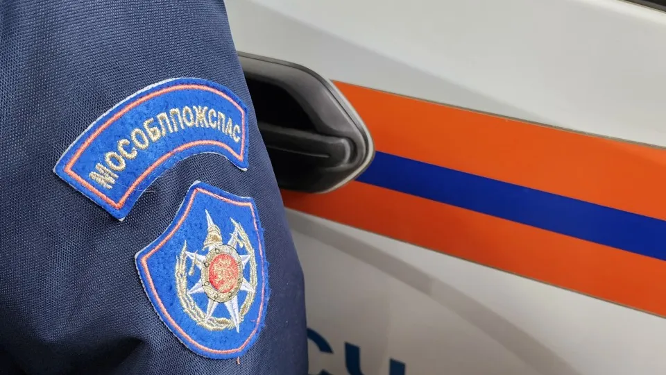 Фото: МедиаБанк Подмосковья/Юлия Андросова