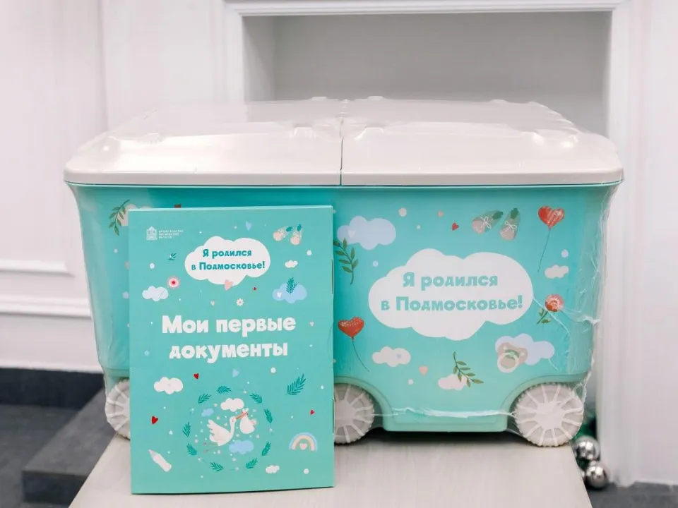 Фото: пресс-служба губернатора и правительства Московской области