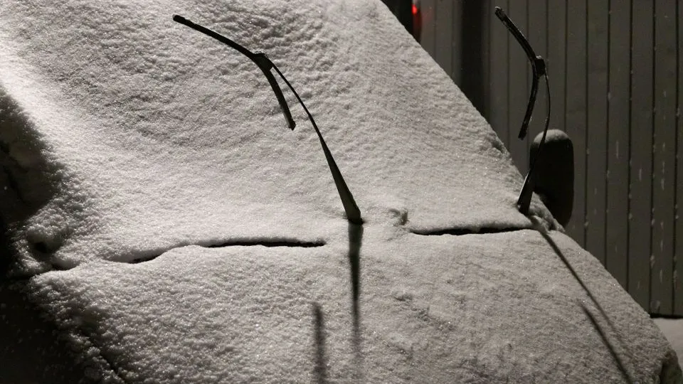 Фото: REGIONS/Владимир Ерастов